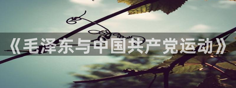 杏彩xc集团