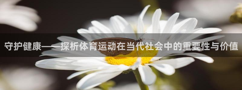 xc指的是什么