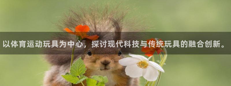 杏彩xc体育游戏