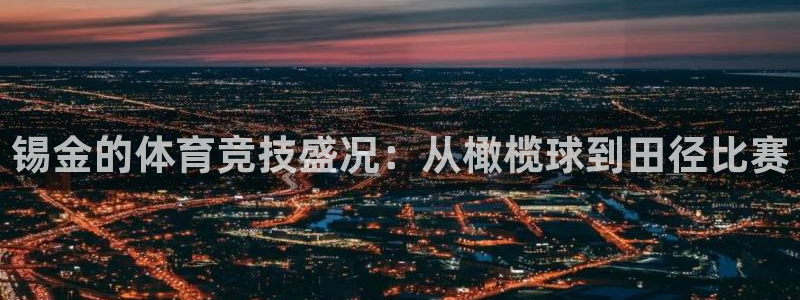 杏彩xc体育和杏耀是哪个公司的