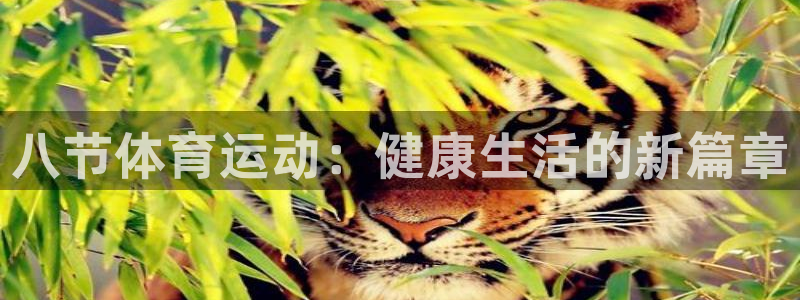 杏彩xc3平台注册