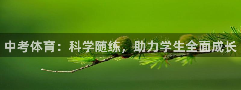 xc是什么部位