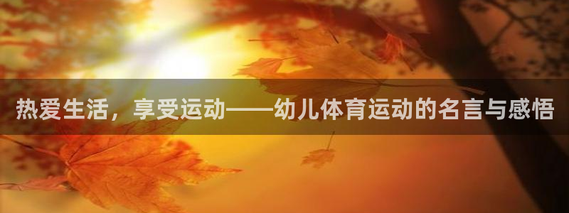 xc是什么意思的缩写