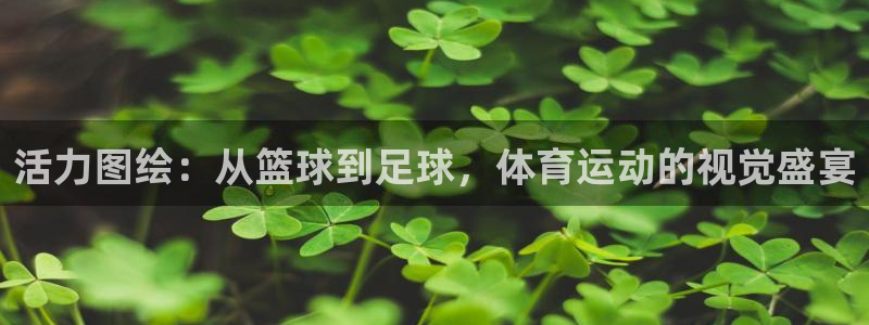 杏彩xc体育注册登录入口