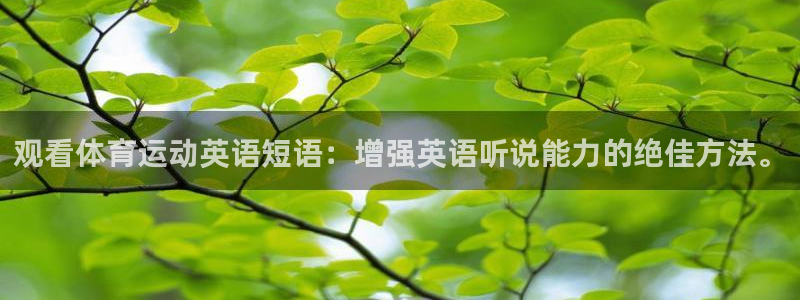 成都杏彩xc电子有限公司