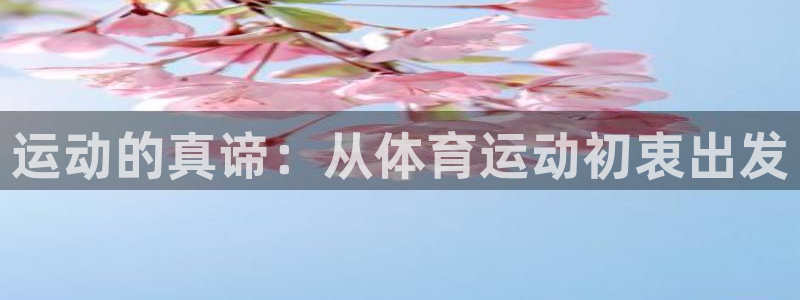 杏彩xc4平台注册