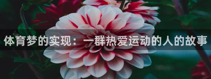 杏彩xc平台