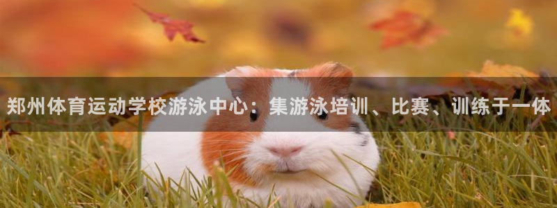 xc是哪个部位