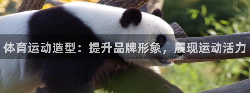沃尔沃xc60有s档位吗