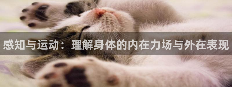 xc是什么病
