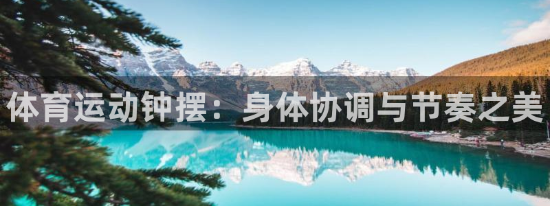 沃尔沃xc什么意思